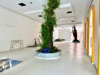 Cho thuê nhà đường 30 tháng 4, Phường Ninh Kiều (Phường Xuân Khánh cũ), TP Cần Thơ